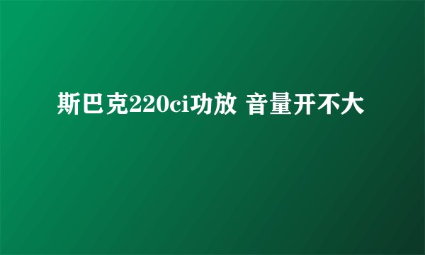 斯巴克220ci功放 音量开不大
