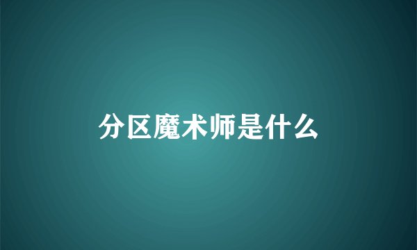 分区魔术师是什么