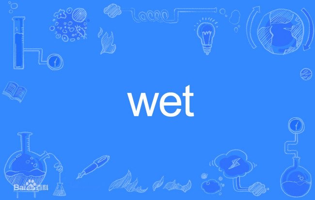wet是什么意思？