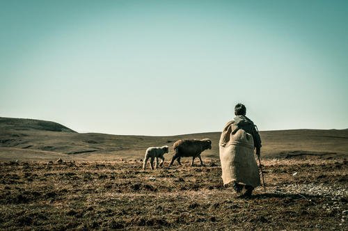 黑龙江14岁少年放羊未归,3天后父母得知落水,谁来为此事负责?