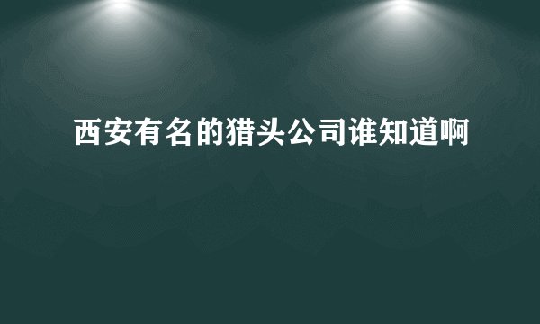 西安有名的猎头公司谁知道啊