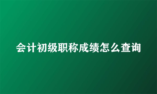 会计初级职称成绩怎么查询