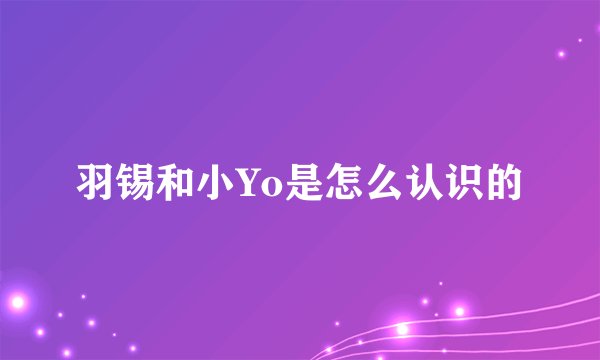 羽锡和小Yo是怎么认识的