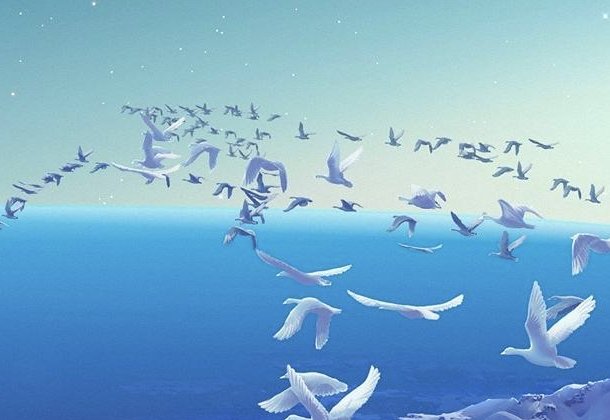 泰戈尔《飞鸟与鱼》英文