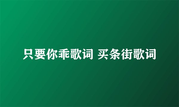 只要你乖歌词 买条街歌词