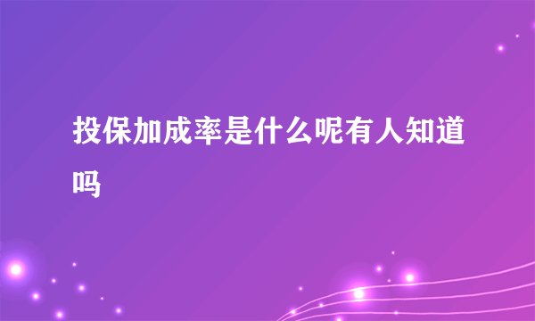 投保加成率是什么呢有人知道吗