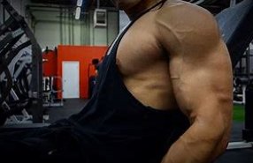 biceps是什么意思