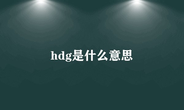 hdg是什么意思