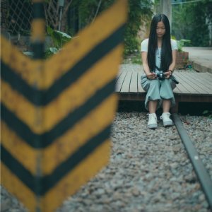 戴彩燕的主要经历