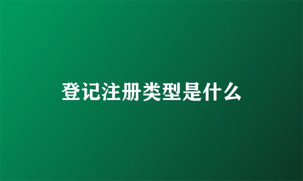 登记注册类型是什么
