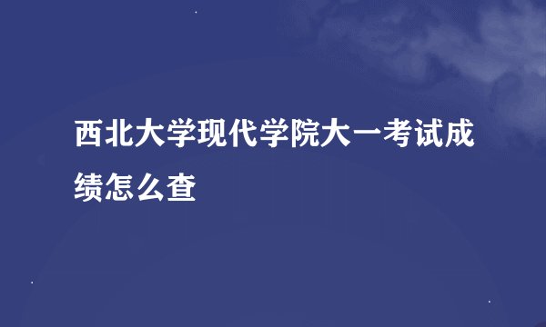 西北大学现代学院大一考试成绩怎么查
