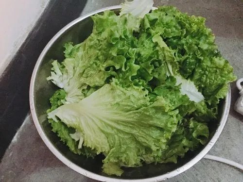 韩国一捆生菜234元，为何当地蔬菜价格如此之高？