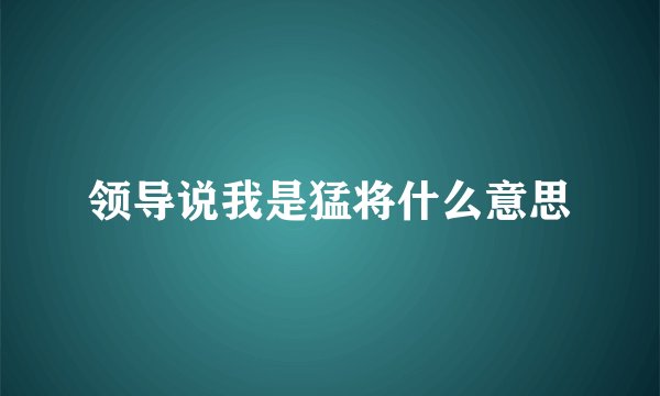 领导说我是猛将什么意思