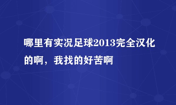 哪里有实况足球2013完全汉化的啊，我找的好苦啊