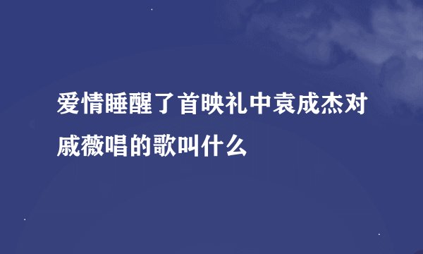 爱情睡醒了首映礼中袁成杰对戚薇唱的歌叫什么