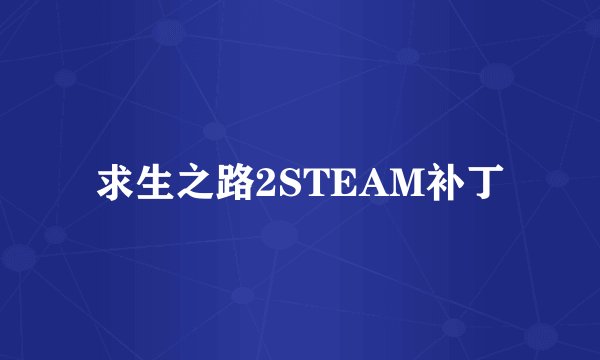 求生之路2STEAM补丁