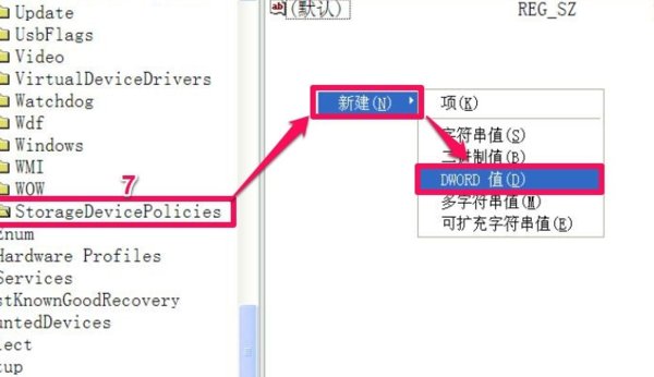 SanDisk的U盘怎样去掉U盘的写保护？