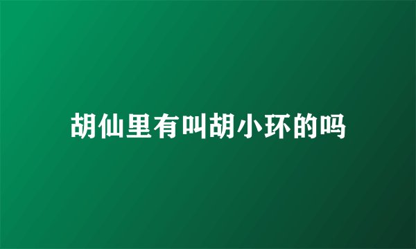 胡仙里有叫胡小环的吗
