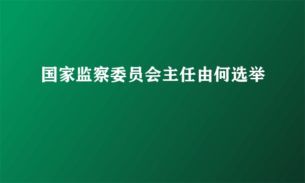 国家监察委员会主任由何选举