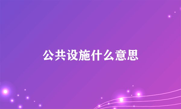 公共设施什么意思