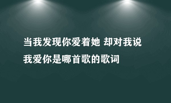 当我发现你爱着她 却对我说我爱你是哪首歌的歌词