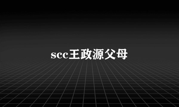 scc王政源父母