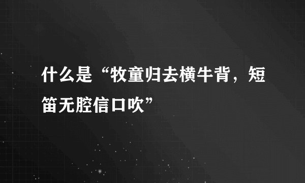 什么是“牧童归去横牛背，短笛无腔信口吹”