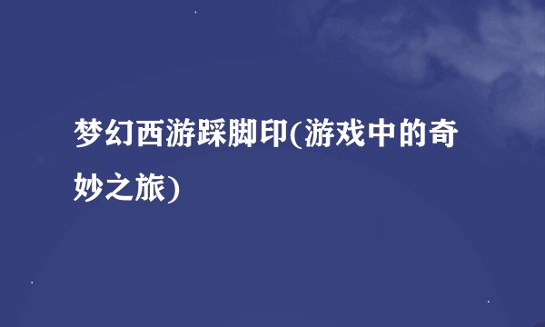 梦幻西游踩脚印(游戏中的奇妙之旅)