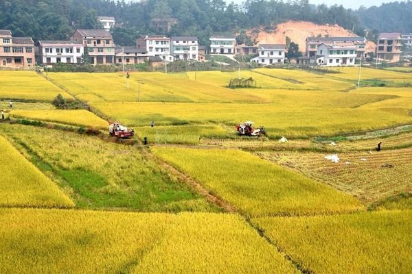 公顷是平方米吗？