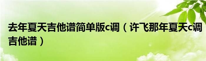 去年夏天吉他谱简单版c调许飞那年夏天c调吉他谱