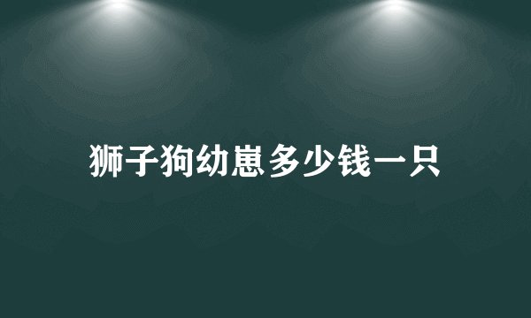 狮子狗幼崽多少钱一只