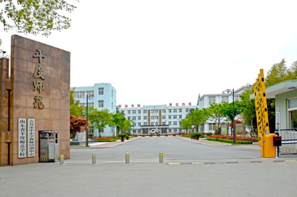 平度职业学校有几个