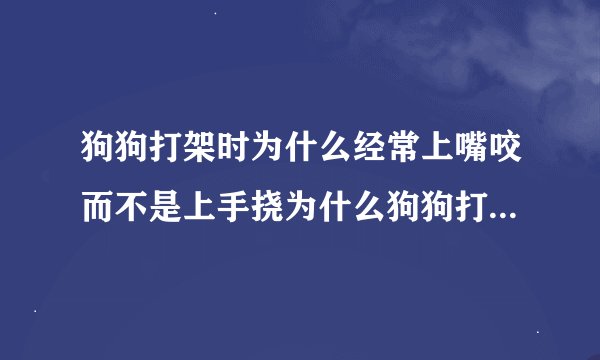 狗狗打架时为什么经常上嘴咬而不是上手挠为什么狗狗打架用嘴咬