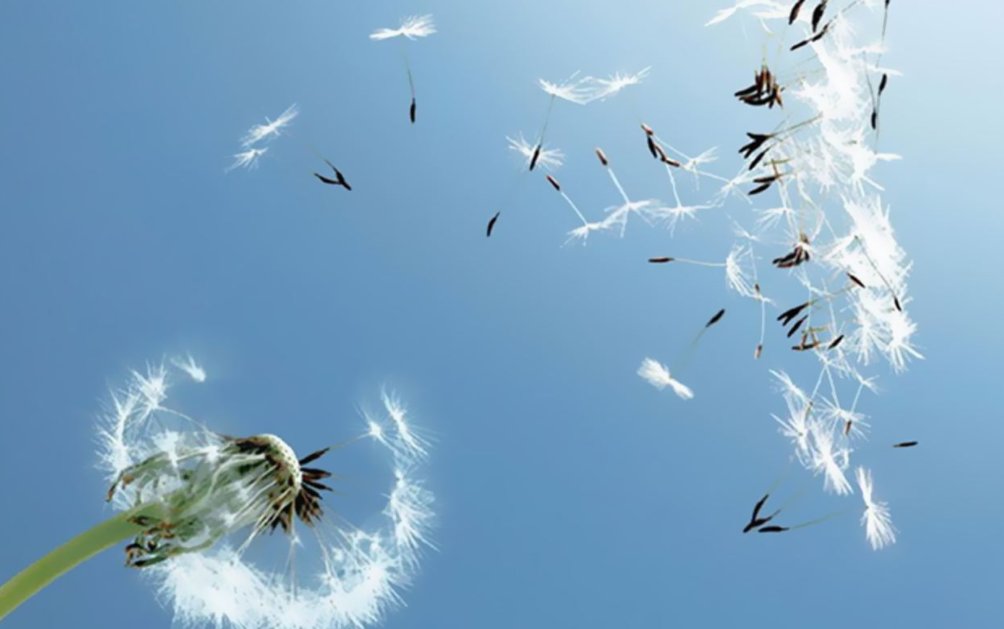 4一6岁的脑筋急转弯动物有哪些呢？