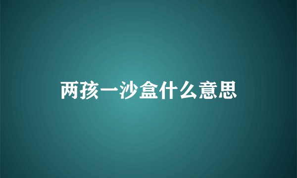 两孩一沙盒什么意思