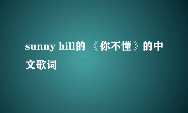 sunny hill的 《你不懂》的中文歌词