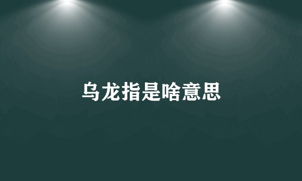 乌龙指是啥意思