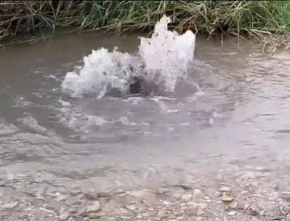 宁夏固原地震带上突现泉眼，这究竟是怎么回事呢？