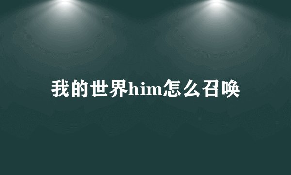 我的世界him怎么召唤