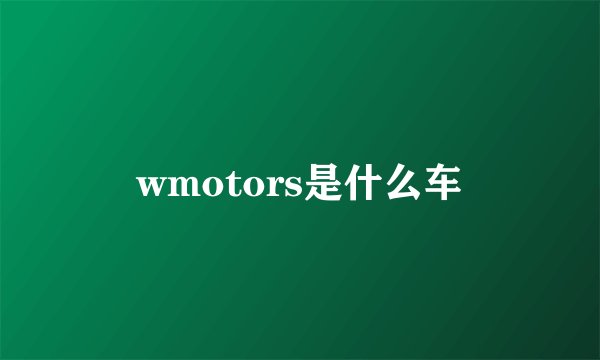 wmotors是什么车