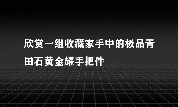 欣赏一组收藏家手中的极品青田石黄金耀手把件