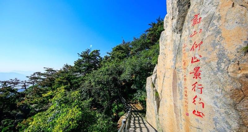 山东景区一游客翻越护栏捡手机坠亡，景区该不该为游客的死负责？
