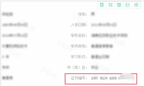 毕业证书编号怎么查询？