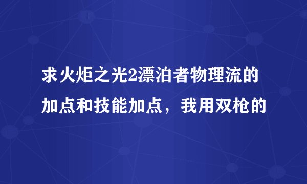 求火炬之光2漂泊者物理流的加点和技能加点，我用双枪的