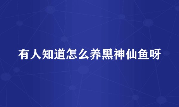 有人知道怎么养黑神仙鱼呀