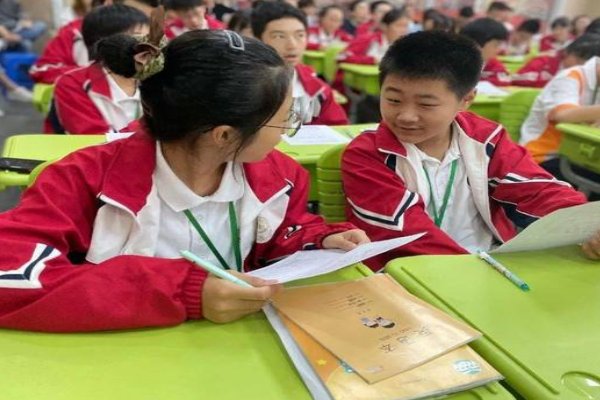 袋鼠自述说明文500字怎么写