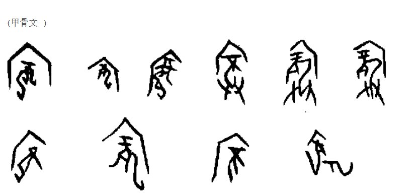 庞字的来源和历史