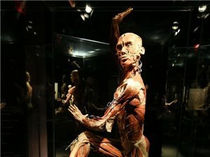 巩特尔·冯·哈根斯的介绍