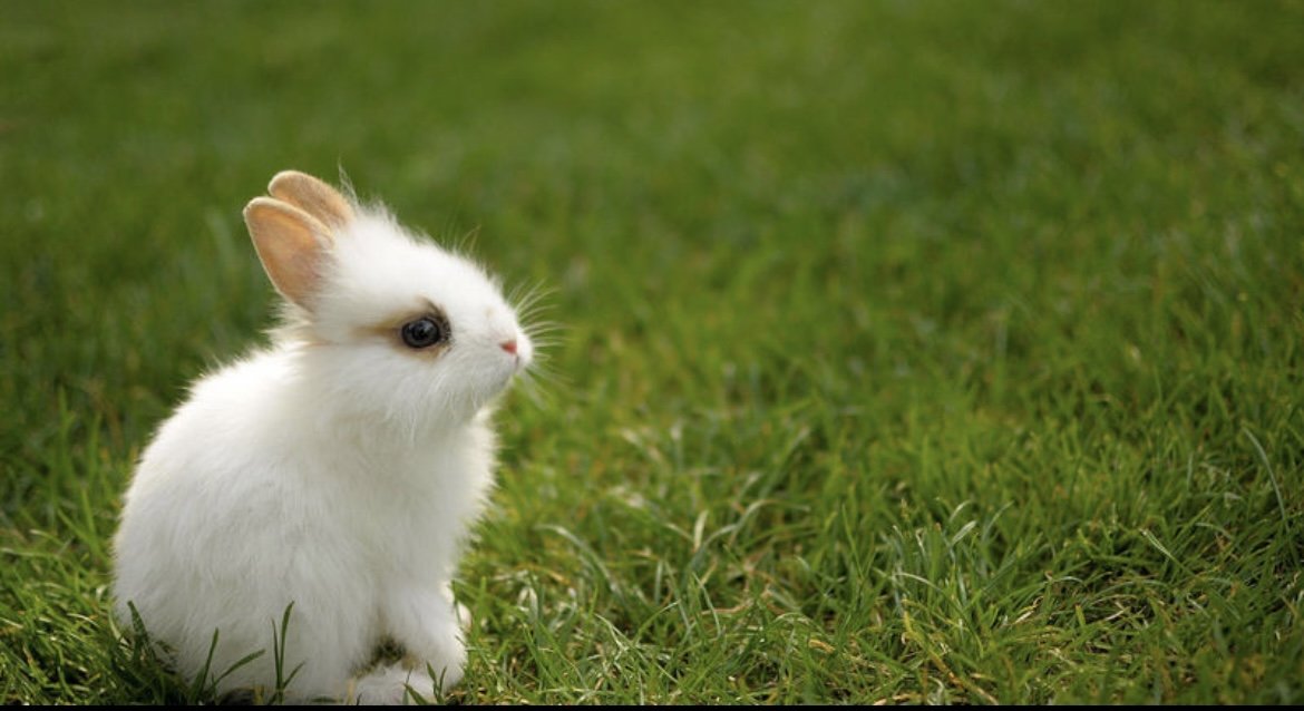 湖北一男童眼里捉出6条蠕动活虫,这件事给予了我们什么警示?