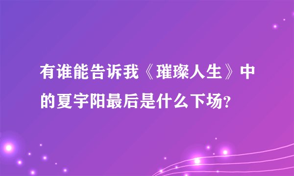 有谁能告诉我《璀璨人生》中的夏宇阳最后是什么下场？
